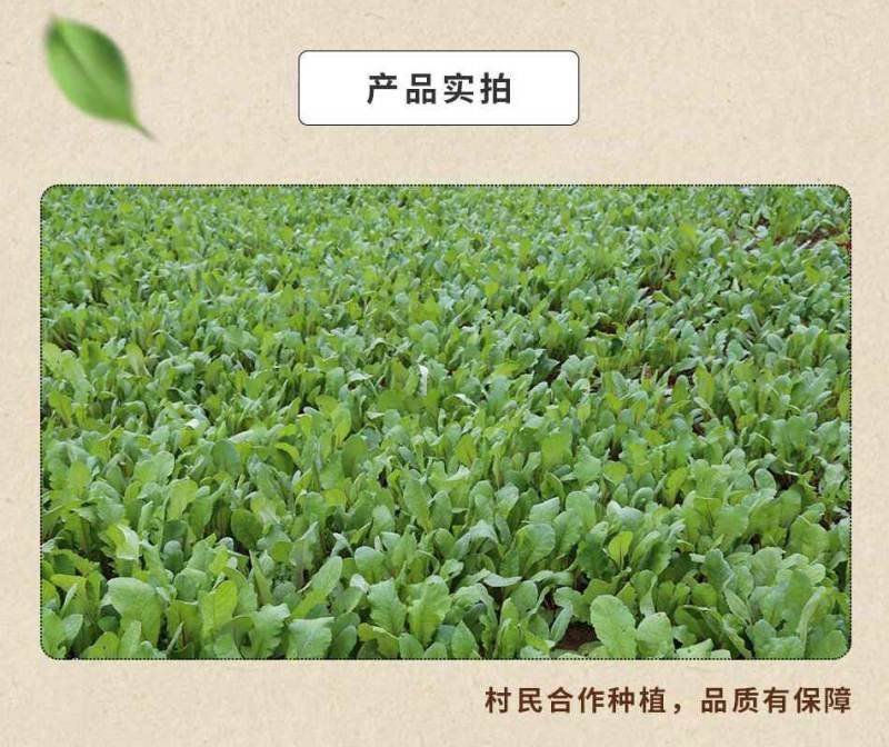 陕西汉阴县富硒地萝卜五斤包邮