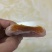 恭城柿饼