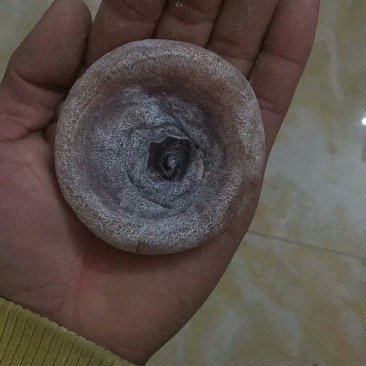 恭城柿饼