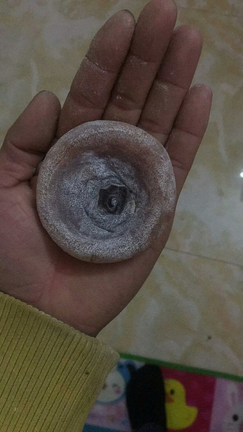 恭城柿饼