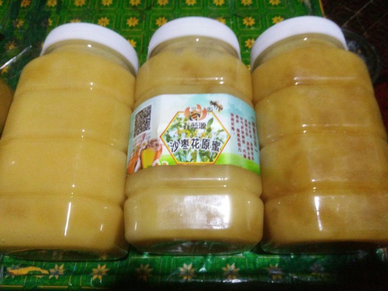 蜂蜜产地甘肃玉门蜂蜜蜜度高糖度大葵花蜜红花蜜