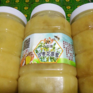 蜂蜜产地甘肃玉门蜂蜜蜜度高糖度大葵花蜜红花蜜
