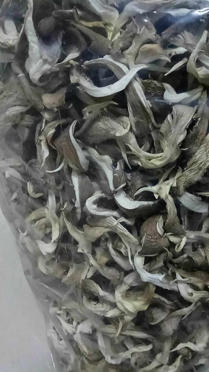 干平菇平菇干食用菌干蘑菇凤尾菇鲍鱼菇