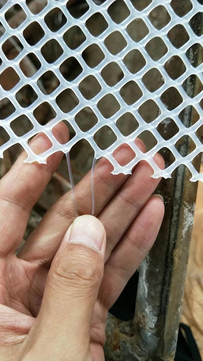 鸡鸭鹅漏粪网脚踏网苗床网塑料垫网胶网平网养殖网