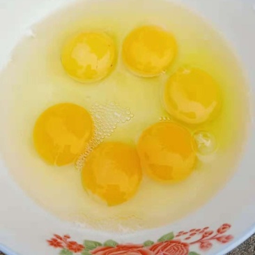 散养土鸡蛋特价限量包邮