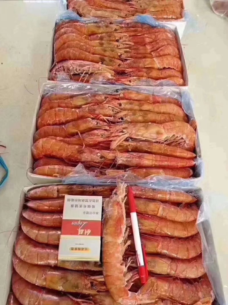 阿根廷红虾