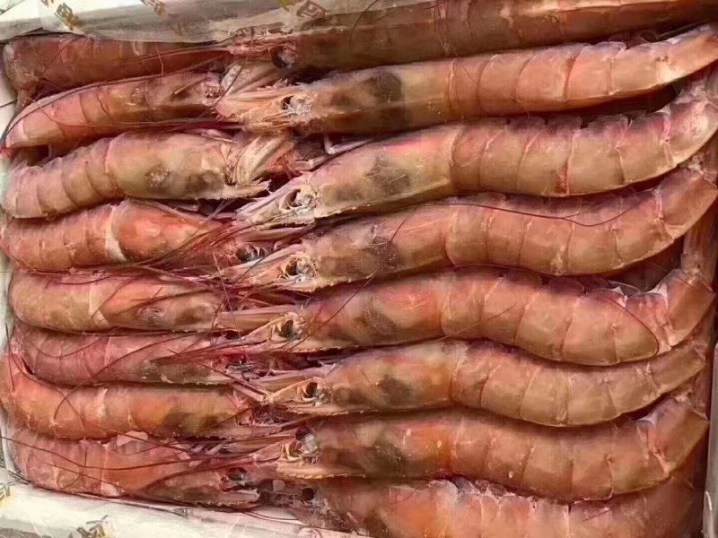 阿根廷红虾