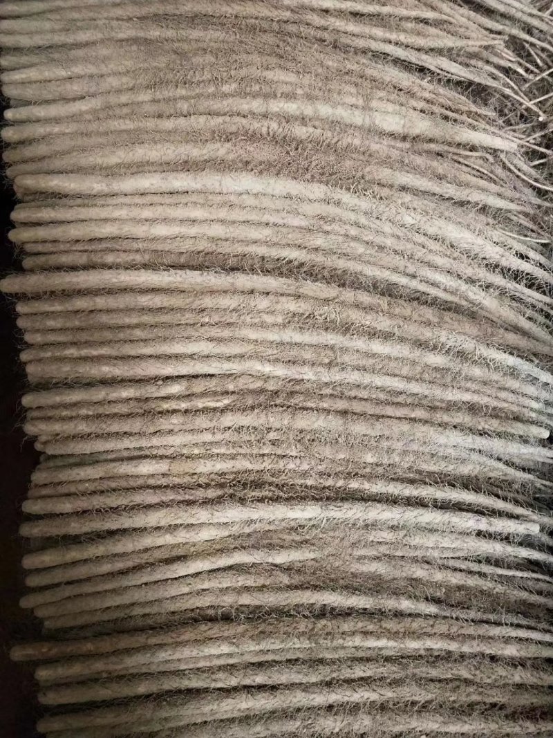 铁棍山药