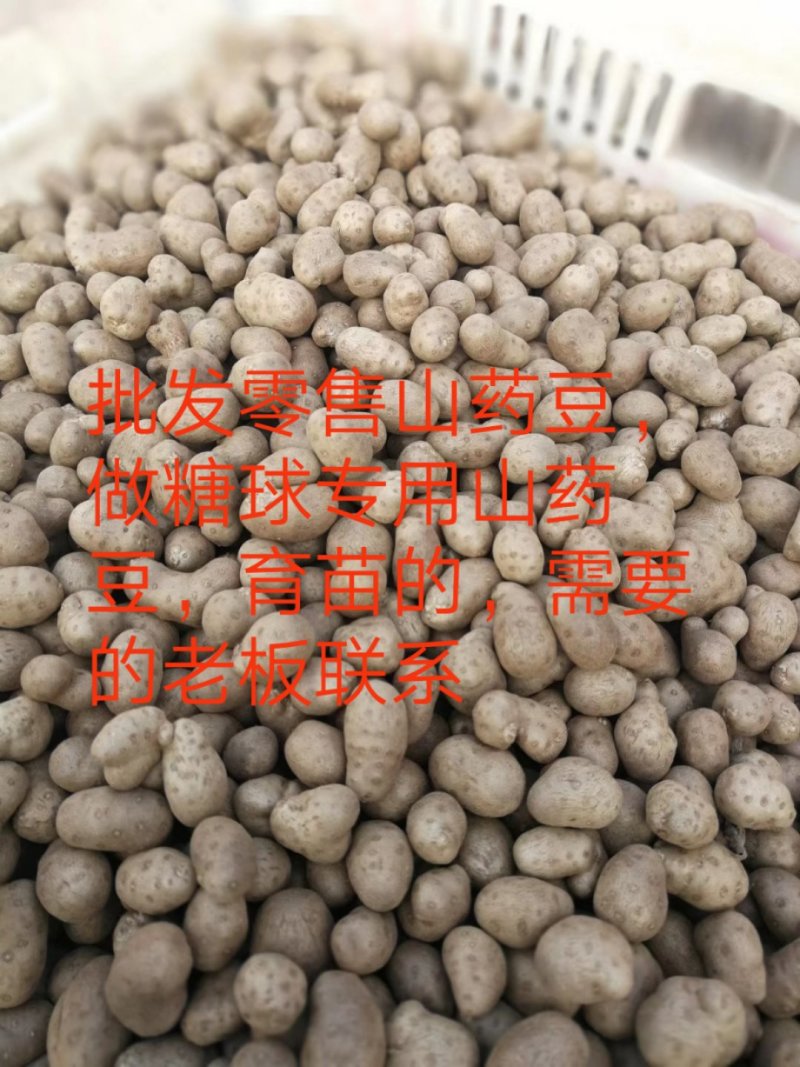 批发零售白玉山药豆精挑细选，规格齐全，需要的老板联系