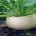 盘菜扁头菜