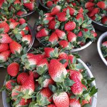 安徽原产地甜宝草莓已上市欢迎全国新老客户前来选购