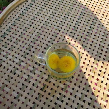 散装菊花茶