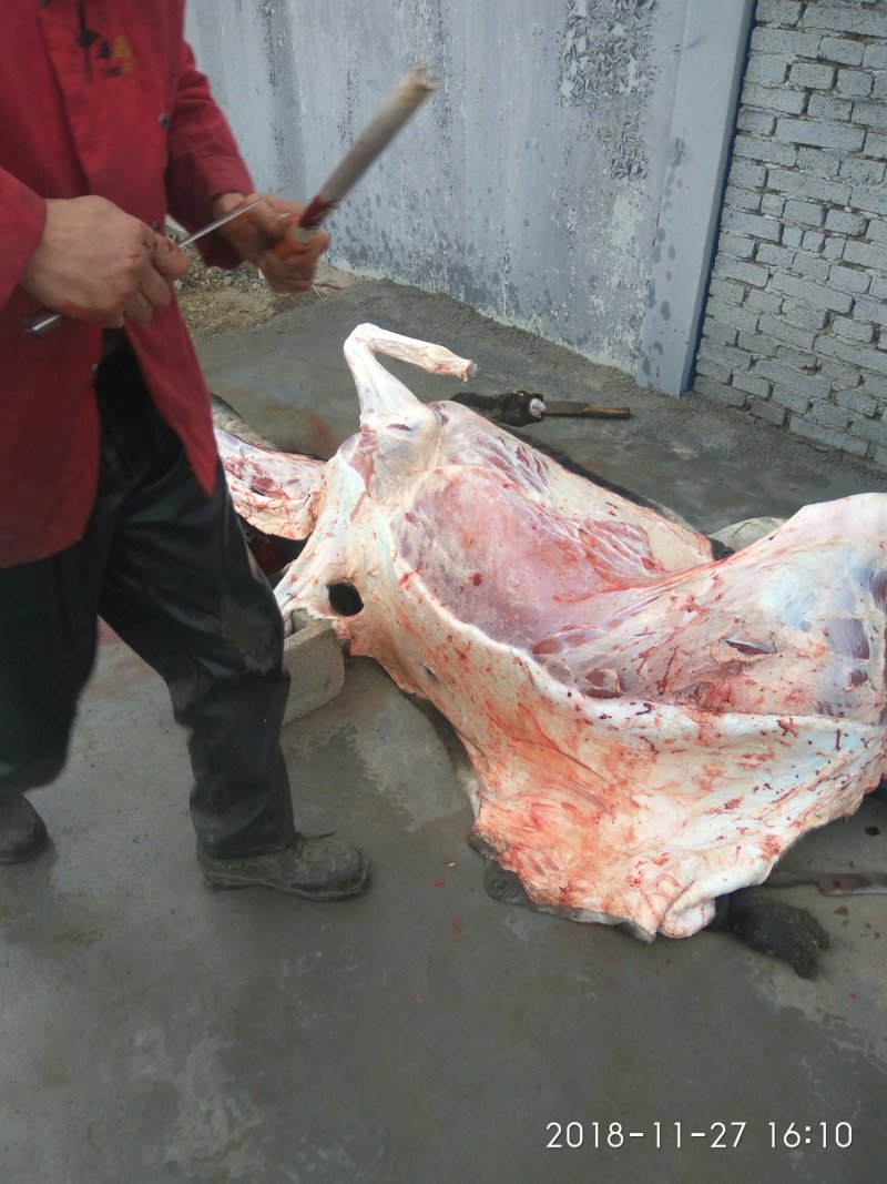 驴肉