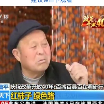 柿饼