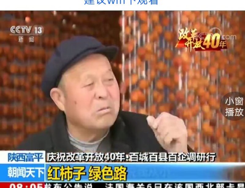 柿饼