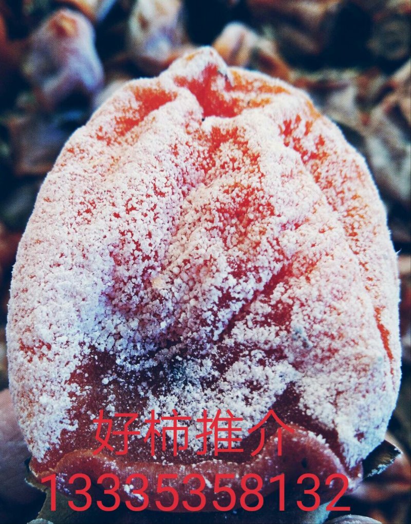 柿饼