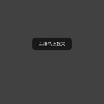 粉条批发