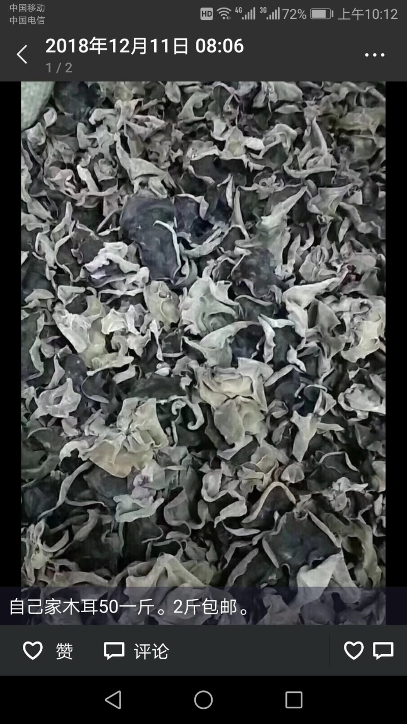 木耳