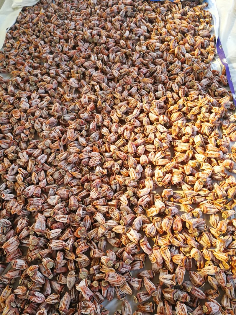 陕西，富平，柿饼
