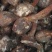 湖北农家茨菇现挖扁茨菇5斤一箱慈姑茨天门茨菇