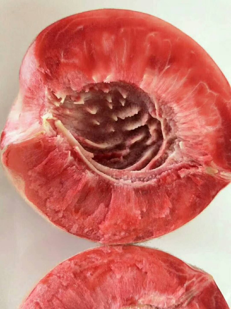 繁育黑桃皇后桃苗价格多少钱