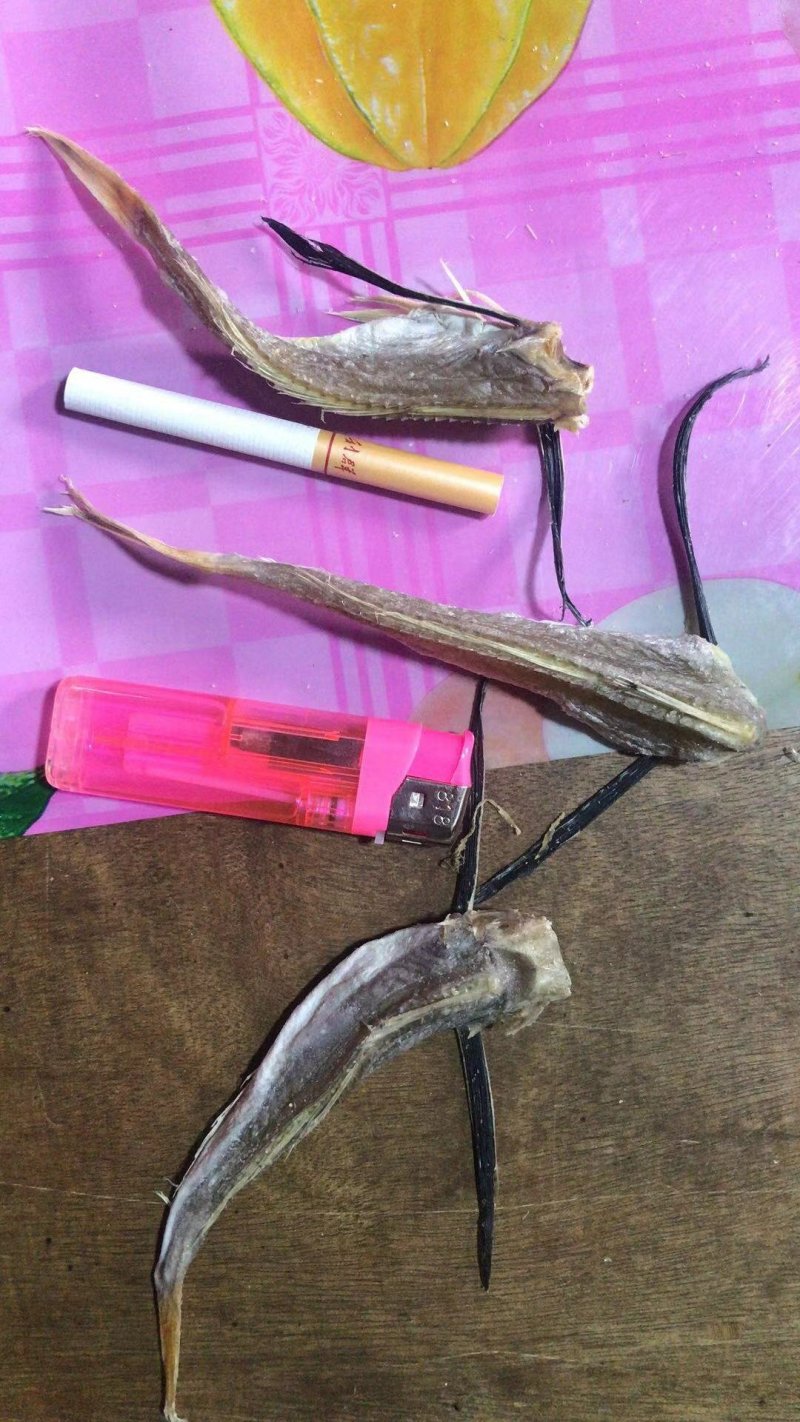 南海小飞鱼，日晒鱼干