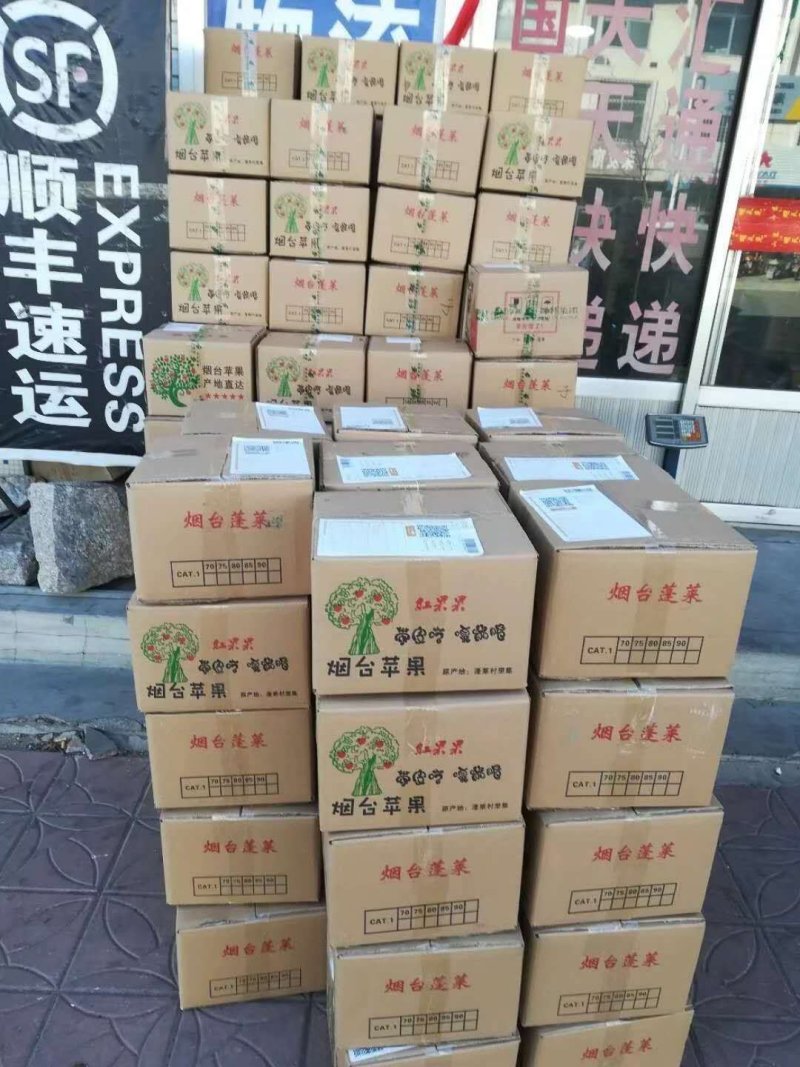 红富士，，，，，，，，，，，，，，，，，，，，，
