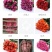 花卉种苗