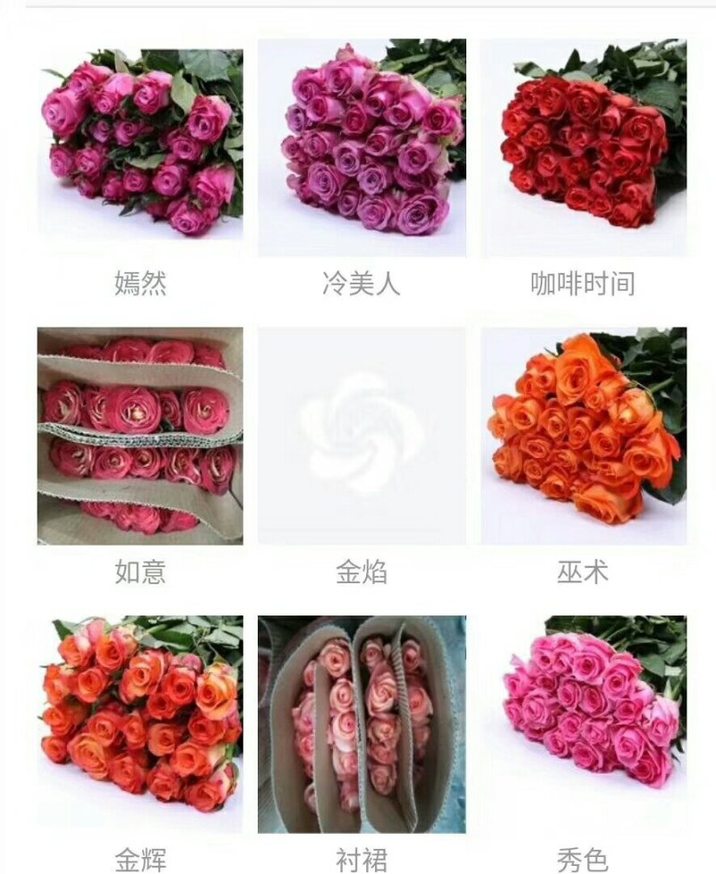 花卉种苗