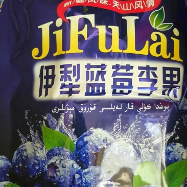 蓝莓李果王428G新疆特产火车列车同款伊犁蓝莓干
