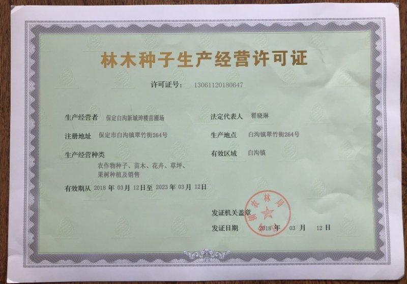 【良心推荐】云南纯正滇重楼矮杆重楼