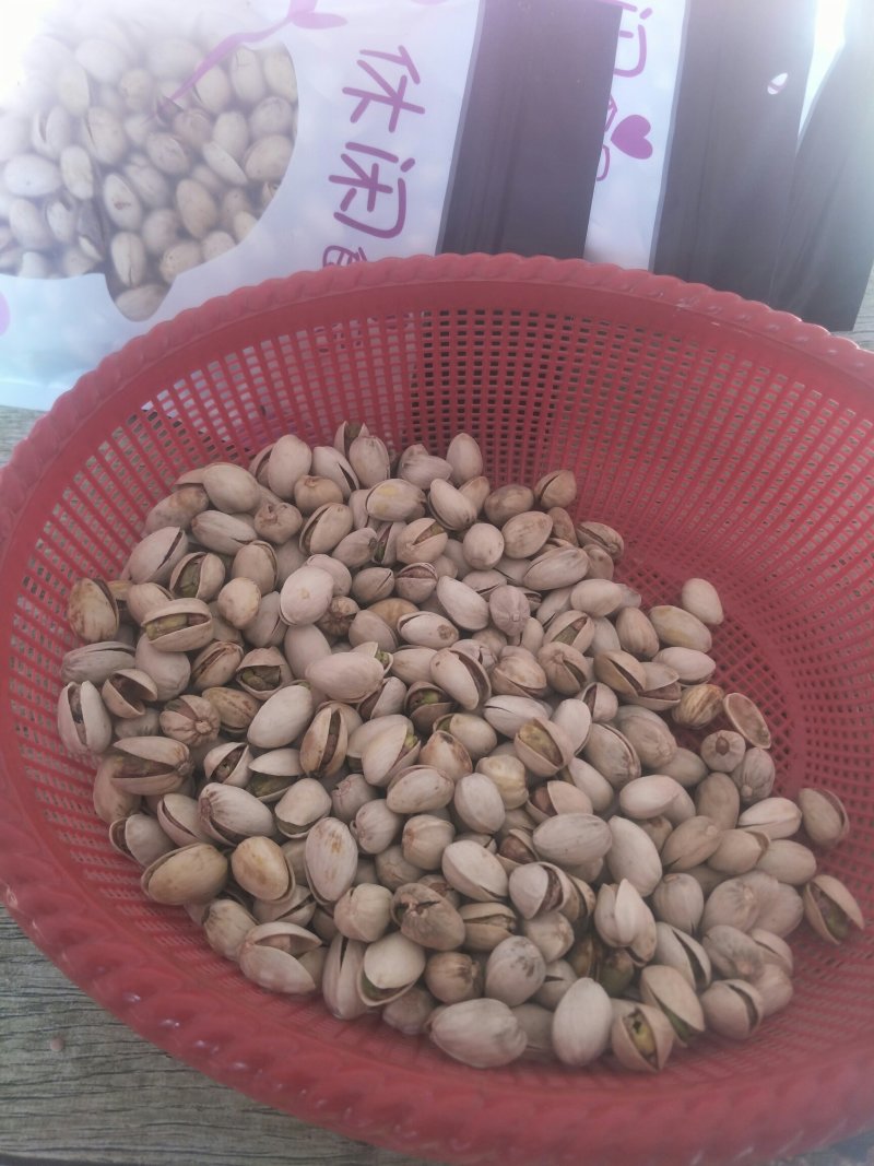 新货开心果大颗粒一手货源欢迎采购
