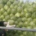 橄榄，二斤到三斤左右