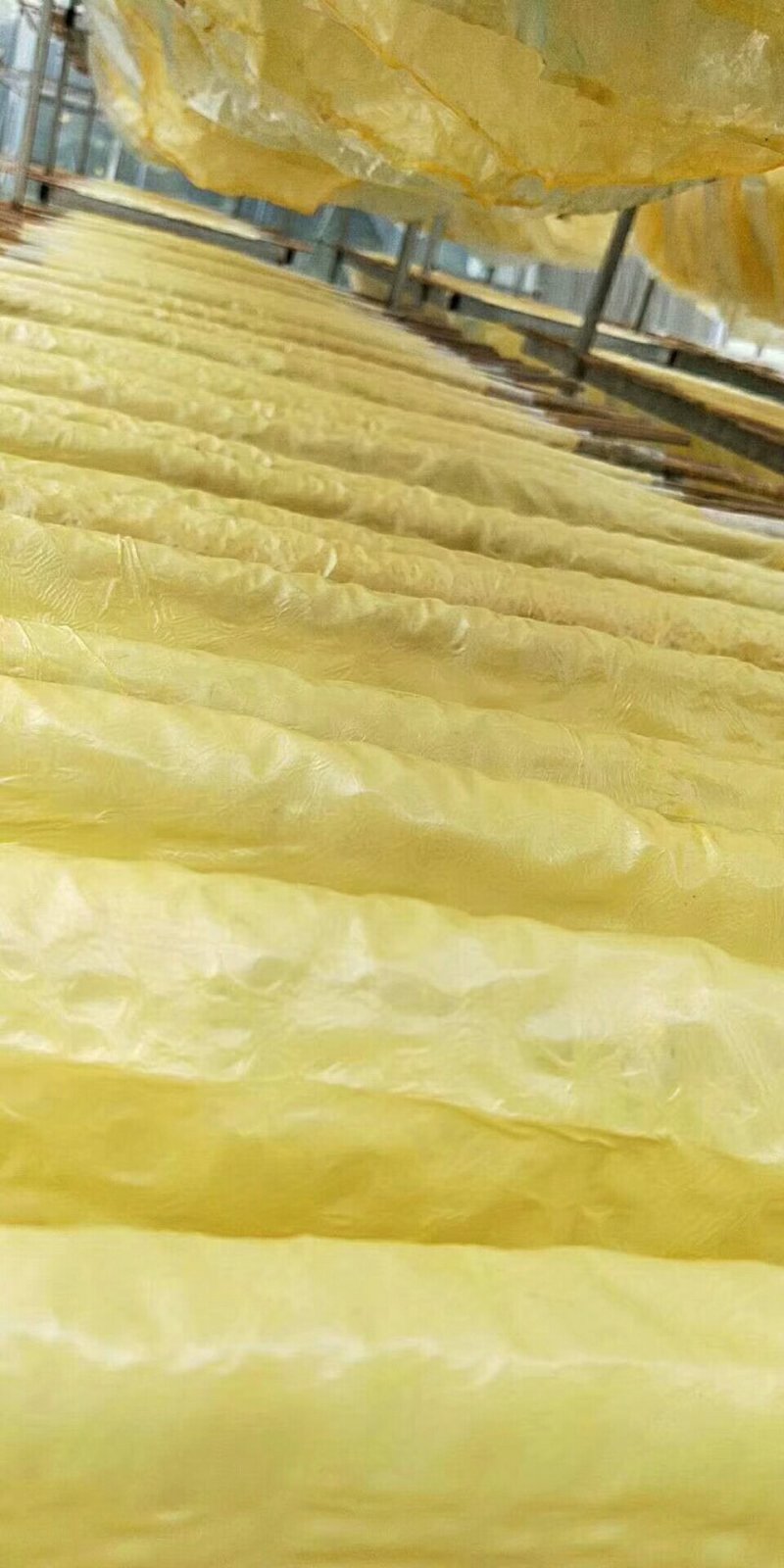 豆腐皮