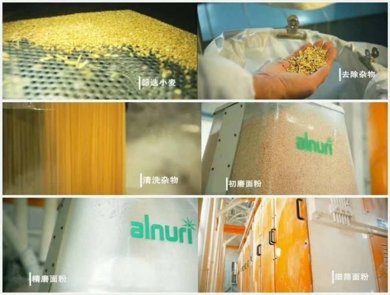 新疆阿克苏明光面粉