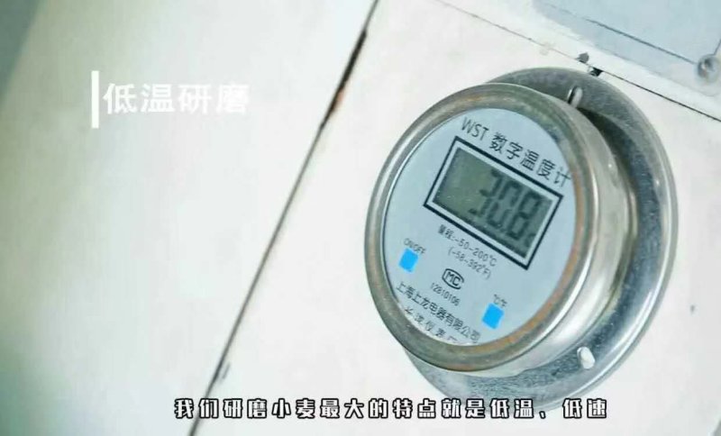新疆阿克苏明光面粉