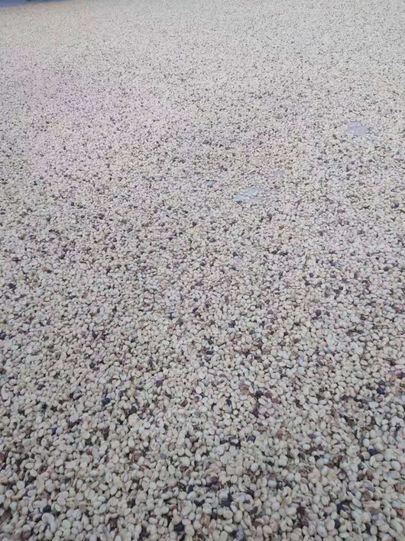 咖啡豆
