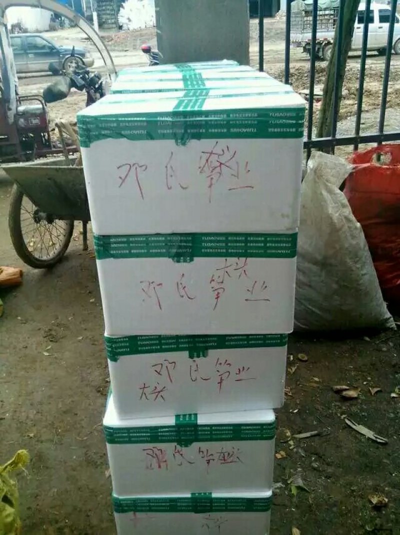 冬笋一斤以上大切，19斤装，