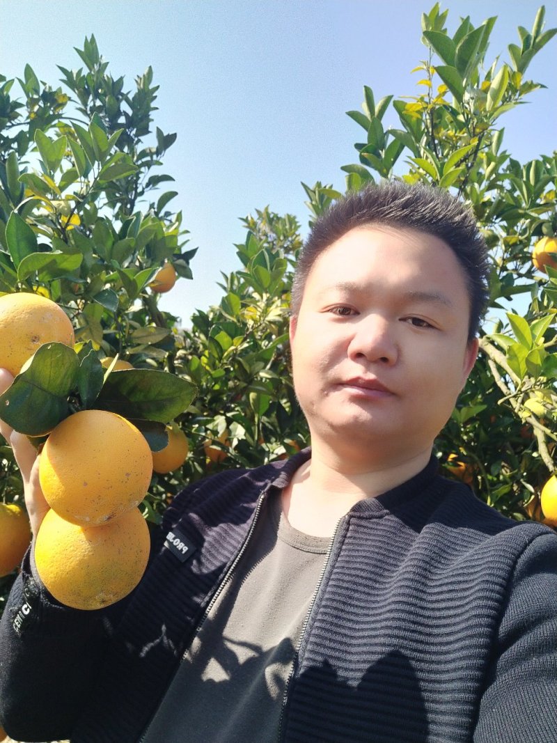 赣南脐橙