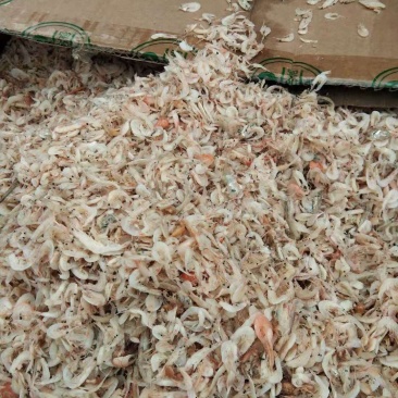 特价虾皮，做混沌，包水饺专用