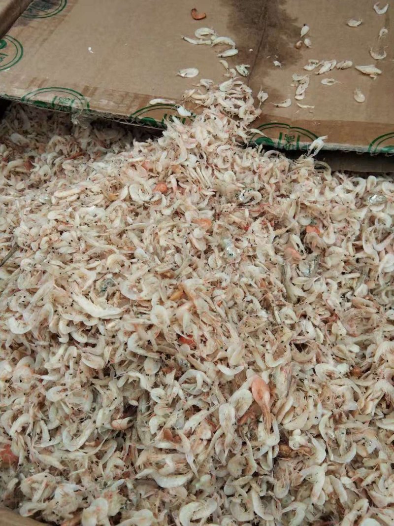 特价虾皮，做混沌，包水饺专用