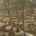 【有好货】突尼斯软籽石榴树2公分包成活死苗补发基地直销