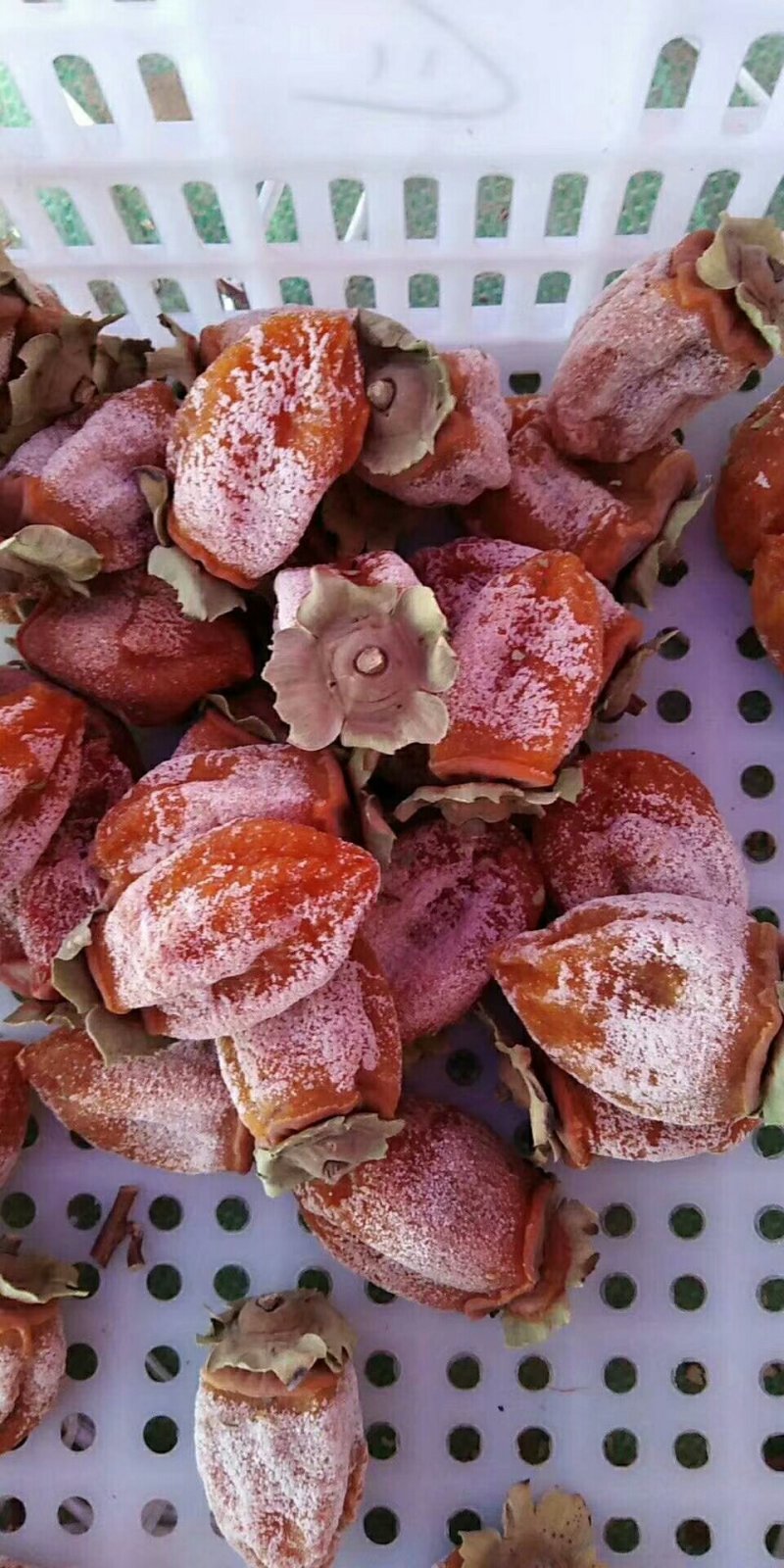 陕西富平柿饼