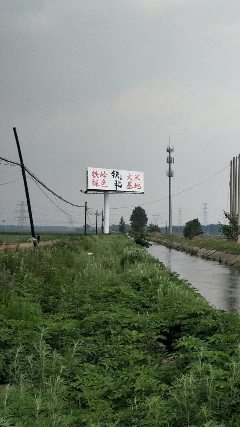 东北大米新米一级