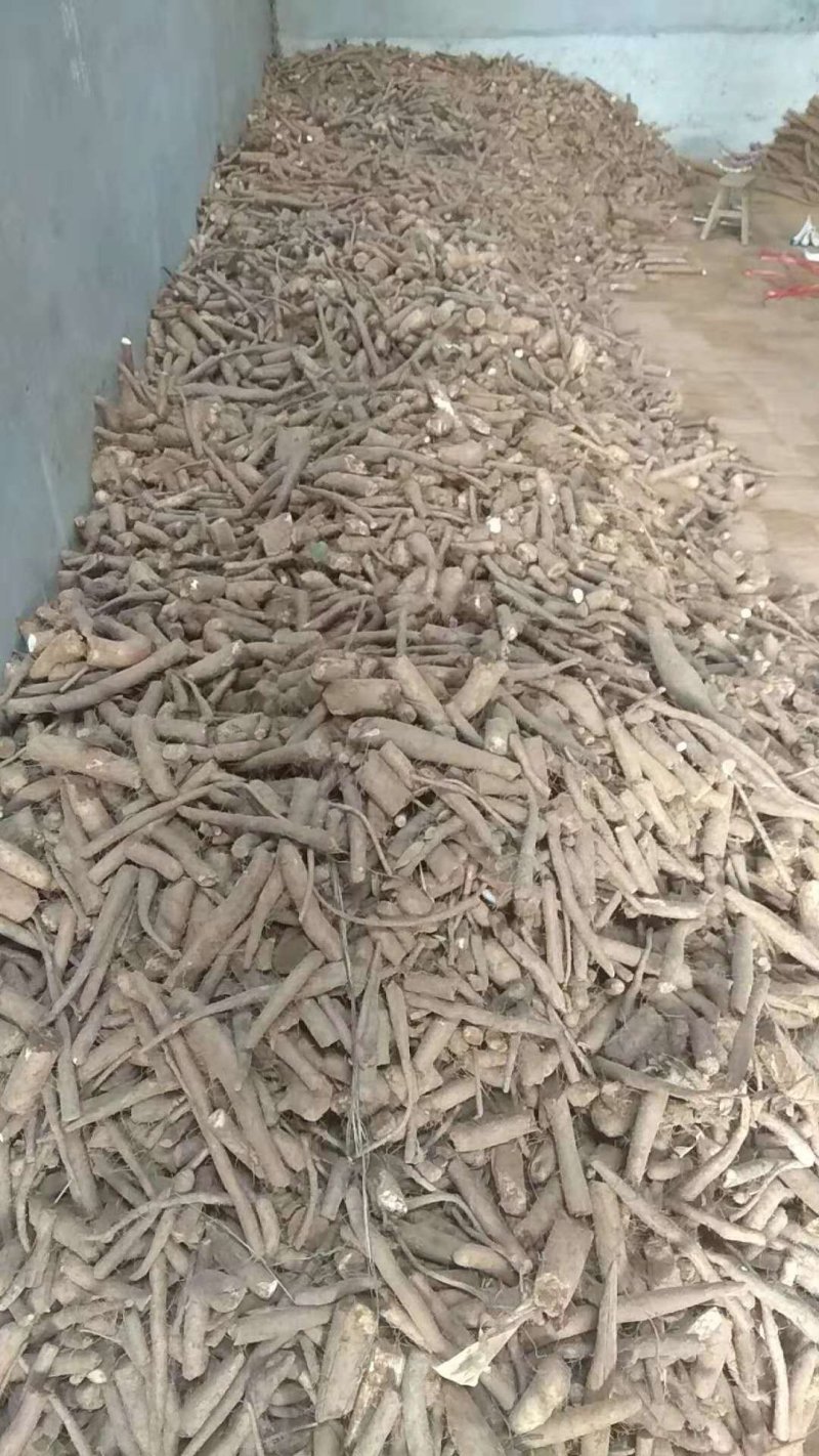 白玉山药