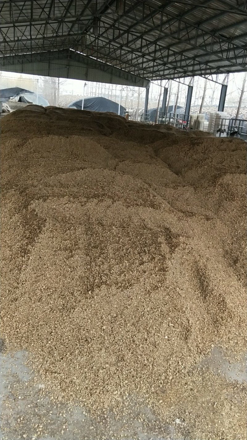 优质早秋高产平菇菌棒
