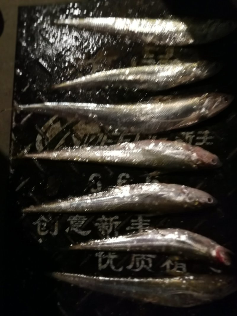 大刀鱼