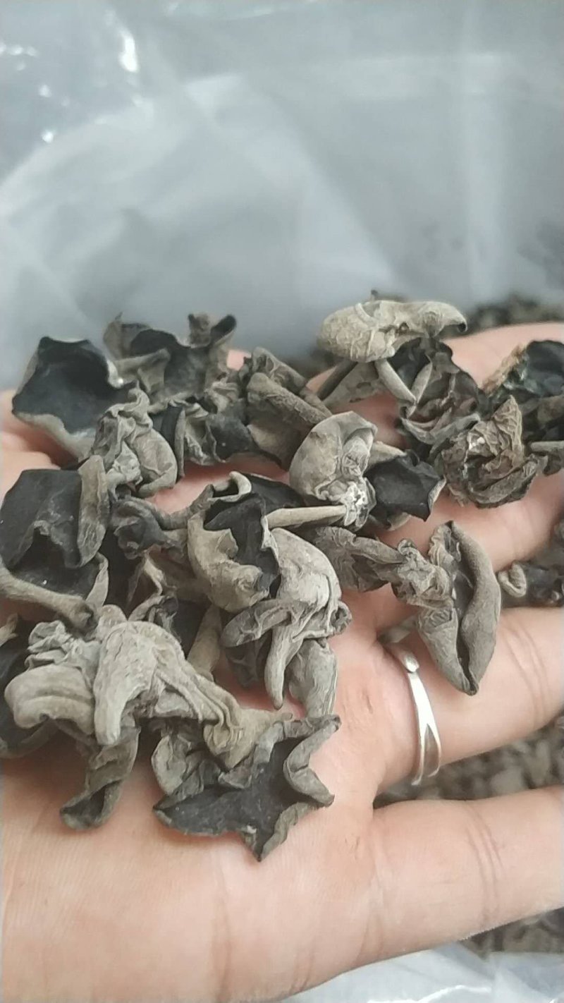 黑木耳木耳东北黑木耳品质好产地直发全国包邮！