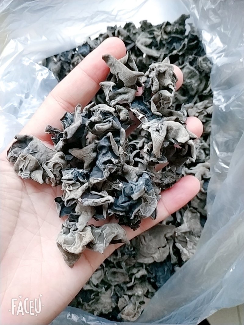 黑木耳木耳东北黑木耳品质好产地直发全国包邮！