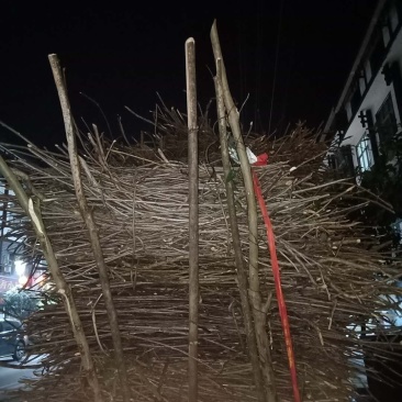 每天都是满满的一车，不要担心我这里会缺货（除非是下雨下）